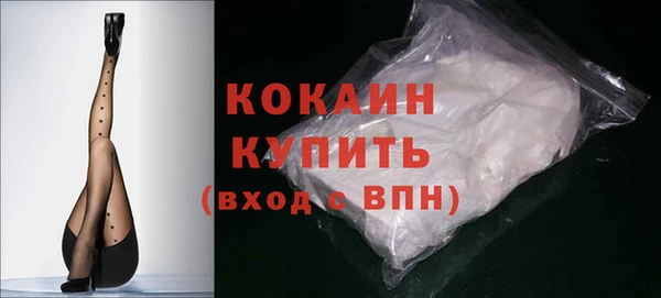 a pvp Горняк