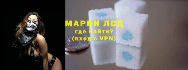 a pvp Горняк