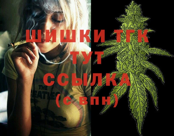 a pvp Горняк