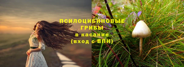 a pvp Горняк